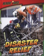 Disaster relief (edited by Dan Nunn, Rebecca Rissman and Catherine Veitch)