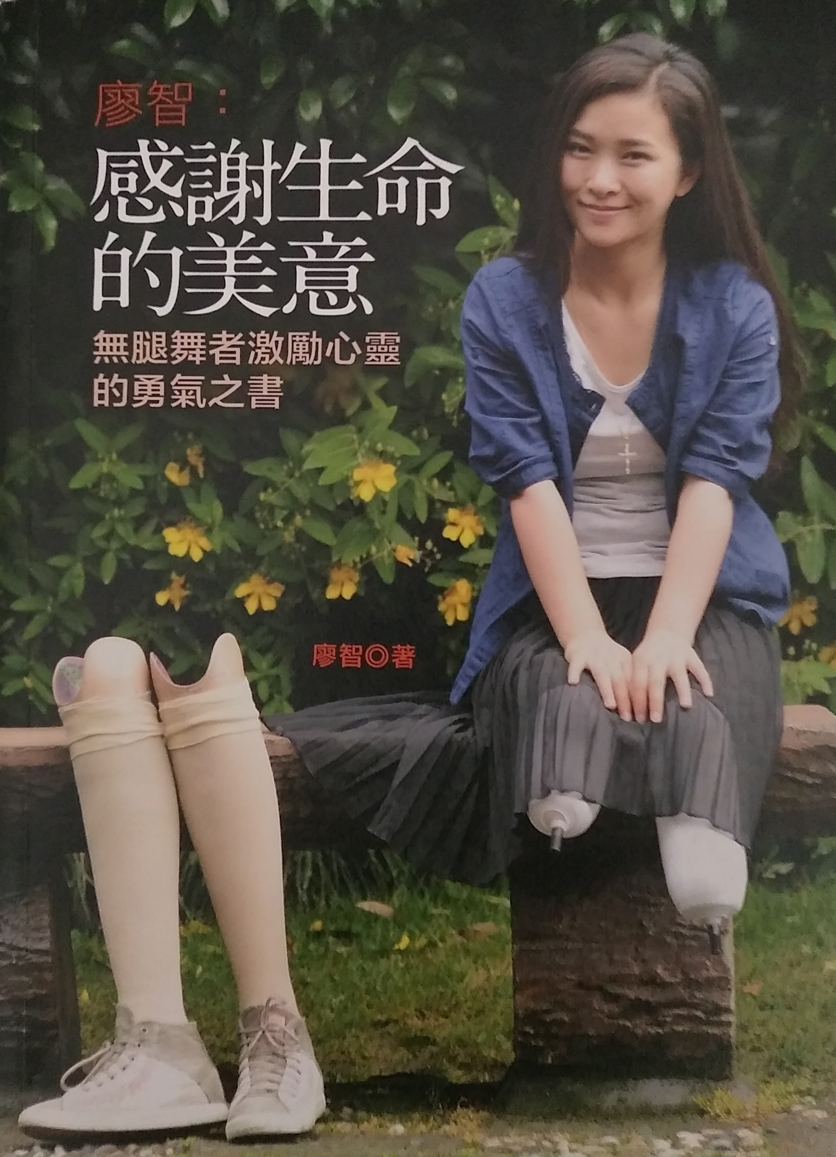 廖智：感謝生命的美意－無腿舞者激勵心靈的勇氣之書