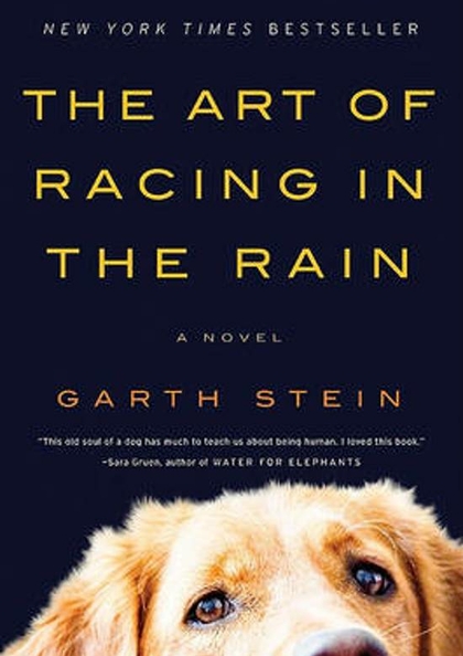 The art of racing in the rain