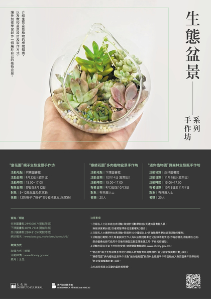生态盆景系列手作坊