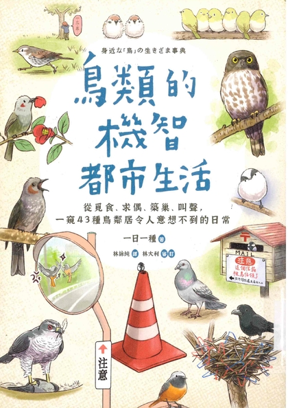 鳥類的機智都市生活：從覓食、求偶、築巢、叫聲，一窺43種鳥鄰居令人意想不到的日常