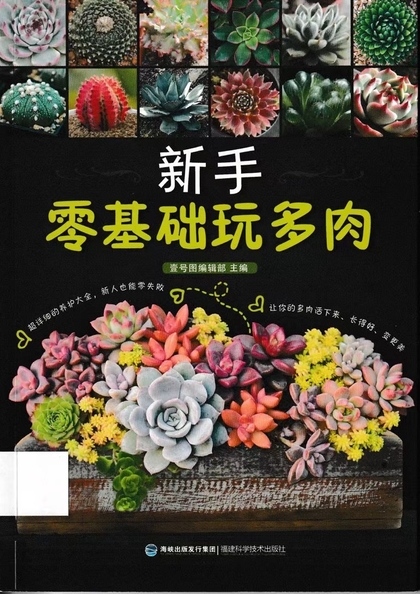 新手零基礎玩多肉