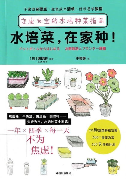 水培菜, 在家種! 變廢為寶的水培種菜指南